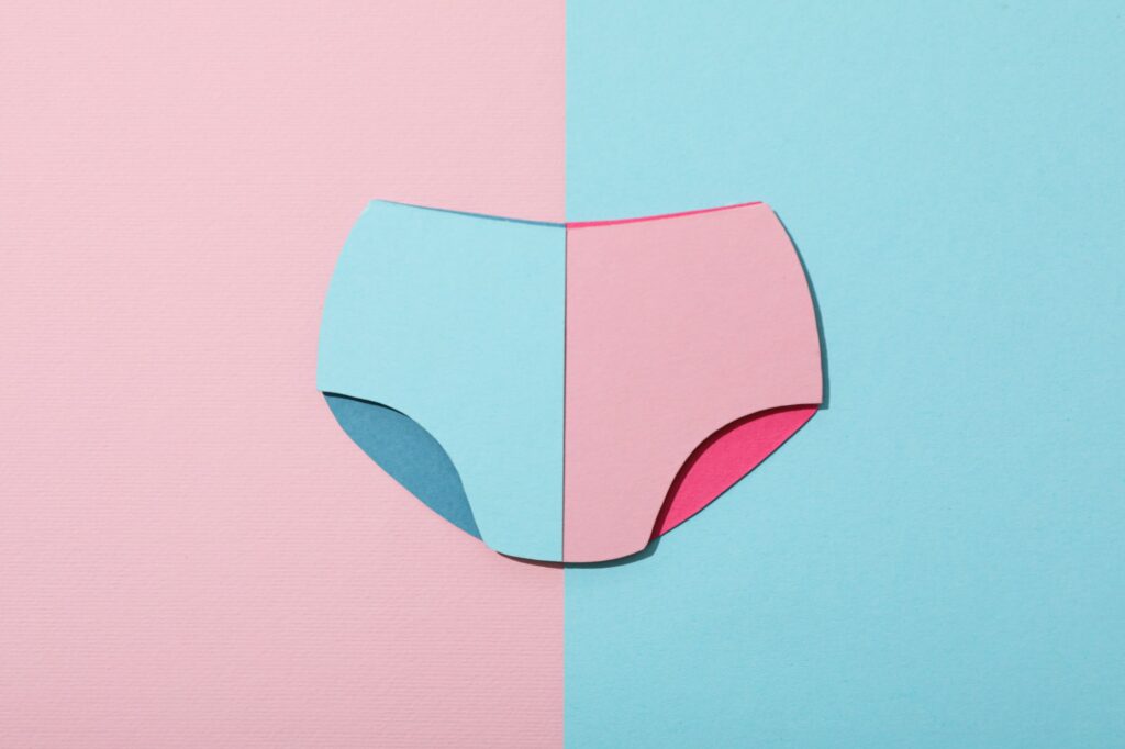 Paper panties on blue and pink background, top view