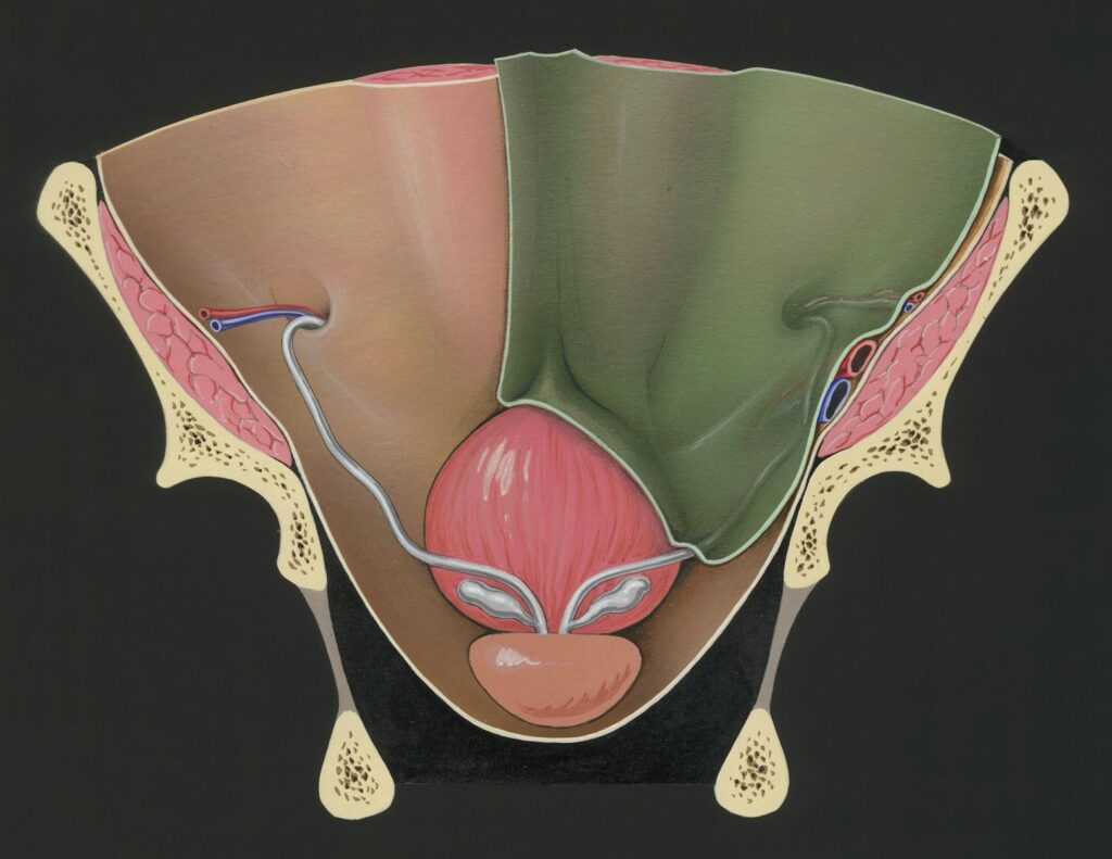 a painting of a woman's breast showing the utensils