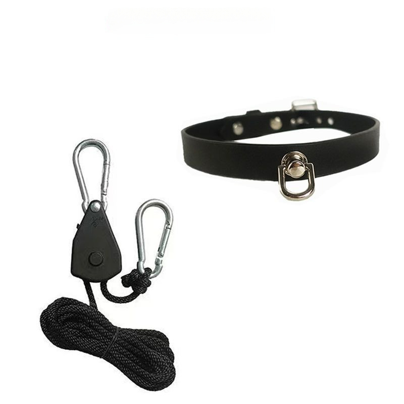 Durable pet collar and pulley system for outdoor training and recreational activities.