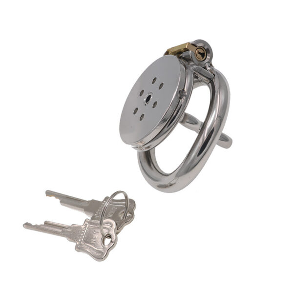 Sleek chrome padlock with keys, perfect for adult toys and secure storage solutions.