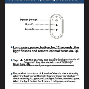 Remote control instructions for adjustable electric shock intensity settings on a sex toy.